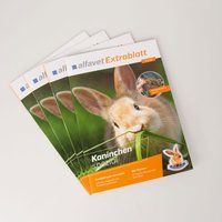 medienhandwerk referenzen magazin kaninchen spezial alfavet