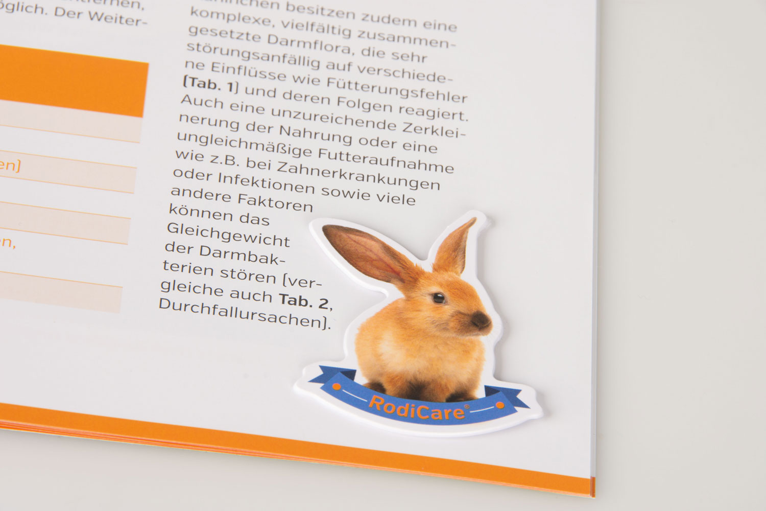 medienhandwerk referenzen magazin kaninchen spezial alfavet